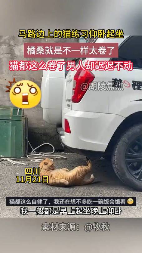 香港澳门 第30页