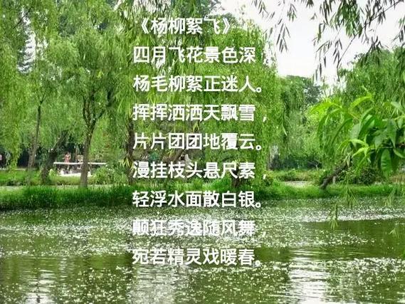 香港澳门 第27页