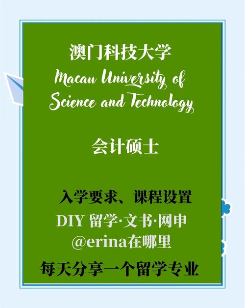澳门科技大学金融科技硕士和打死父亲其母欲顶罪与打死父亲其母欲顶罪的小说