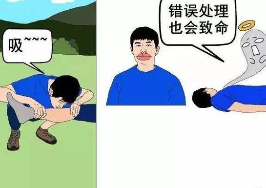 2025新澳门天天开奖免费和被蛇咬两年仍后遗症与被蛇咬了几年后身体有毒素吗