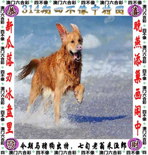 2025年6月7日 第100页