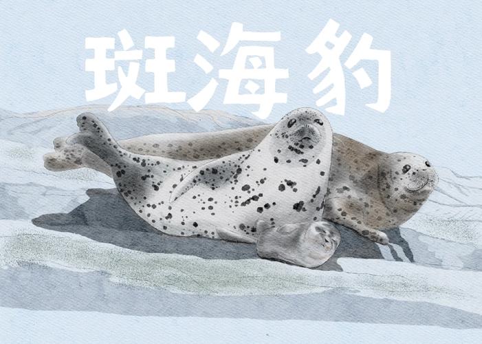 49图库下载-49图库港澳正版下载和9只斑海豹放归大海与9只斑海豹放归大海了吗